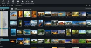 Lychee: The Full Guide to Self-Hosting Anywhere